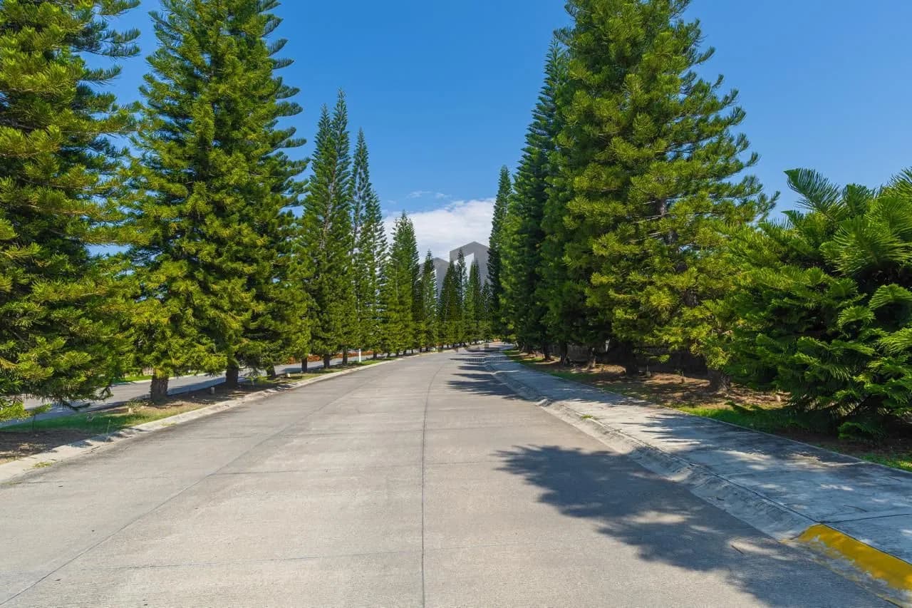 Casa de una planta en venta en fraccionamiento privado Bosque Real — foto 26 de 29