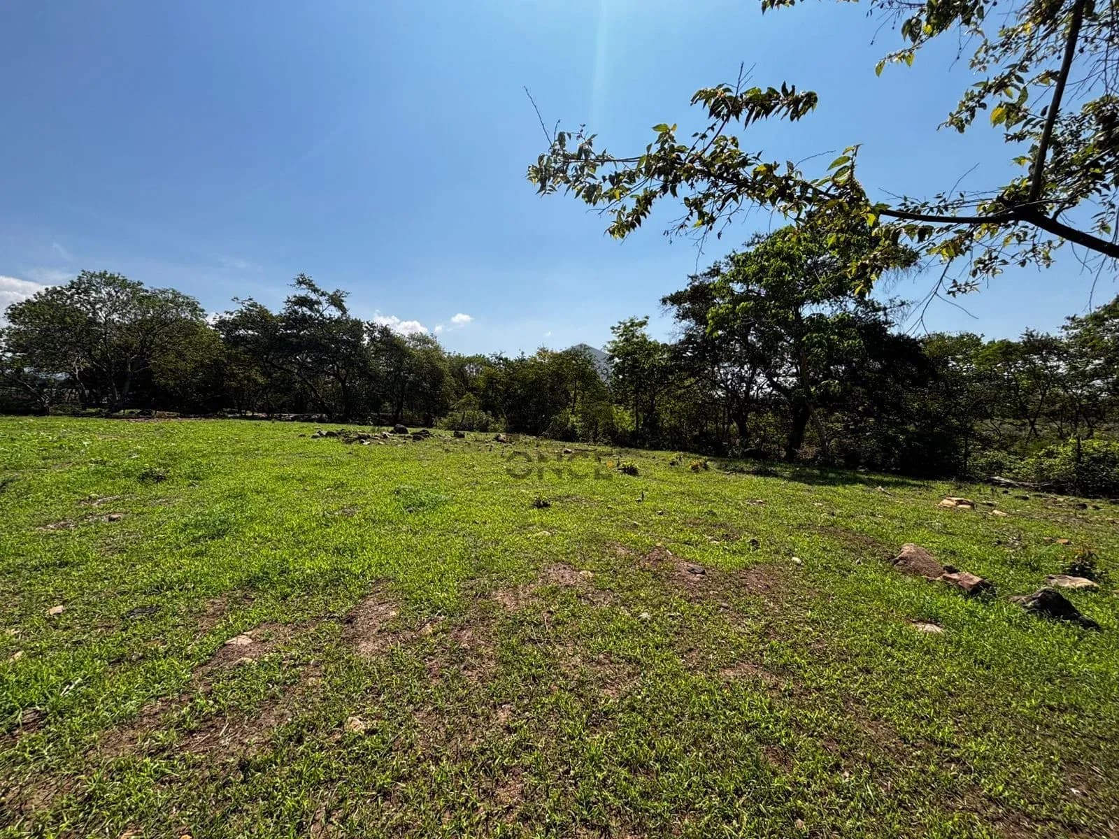 Hectáreas en venta en San Joaquín, Cuauhtémoc, Colima — foto 3 de 25