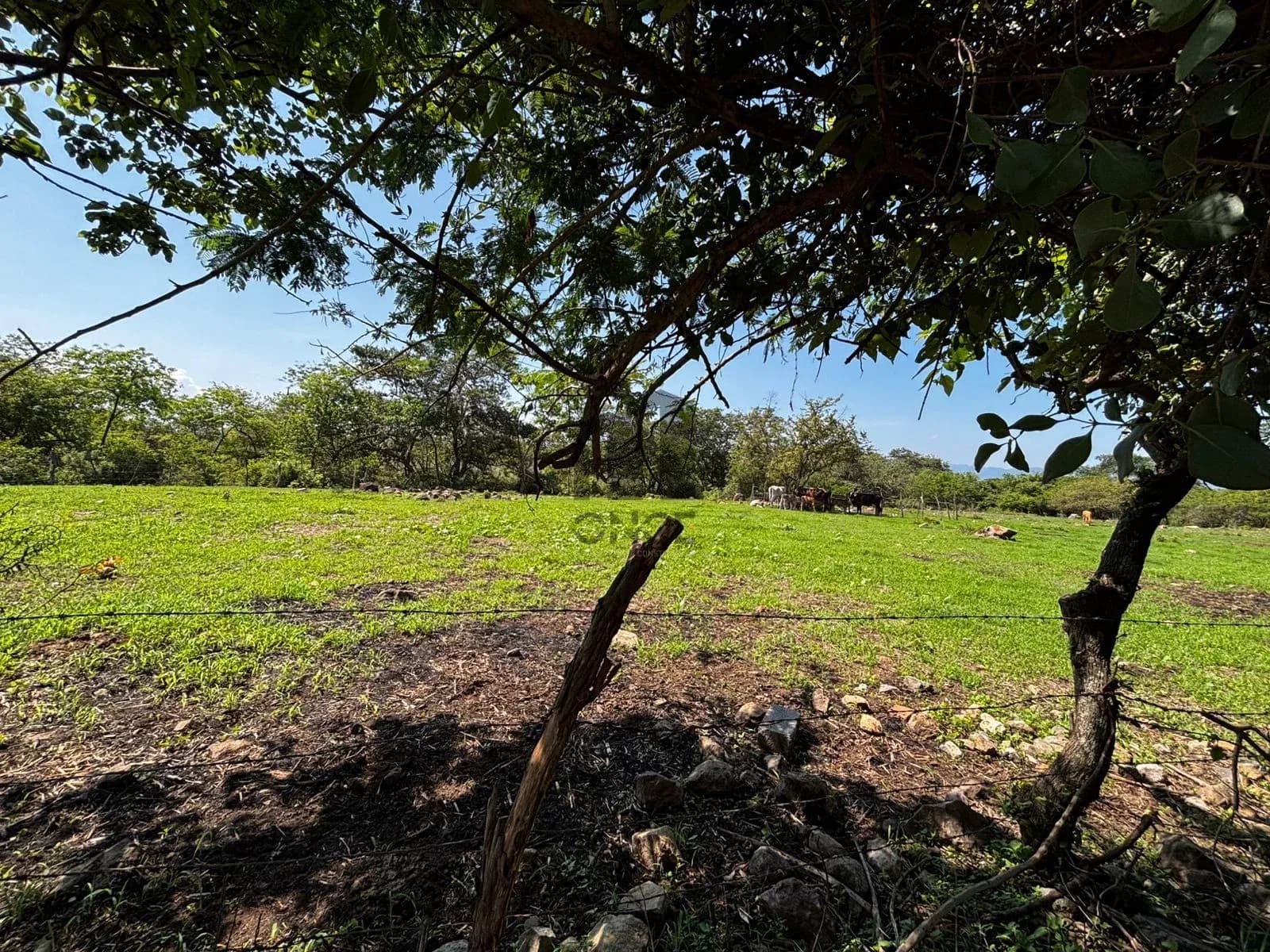 Hectáreas en venta en San Joaquín, Cuauhtémoc, Colima — foto 17 de 25