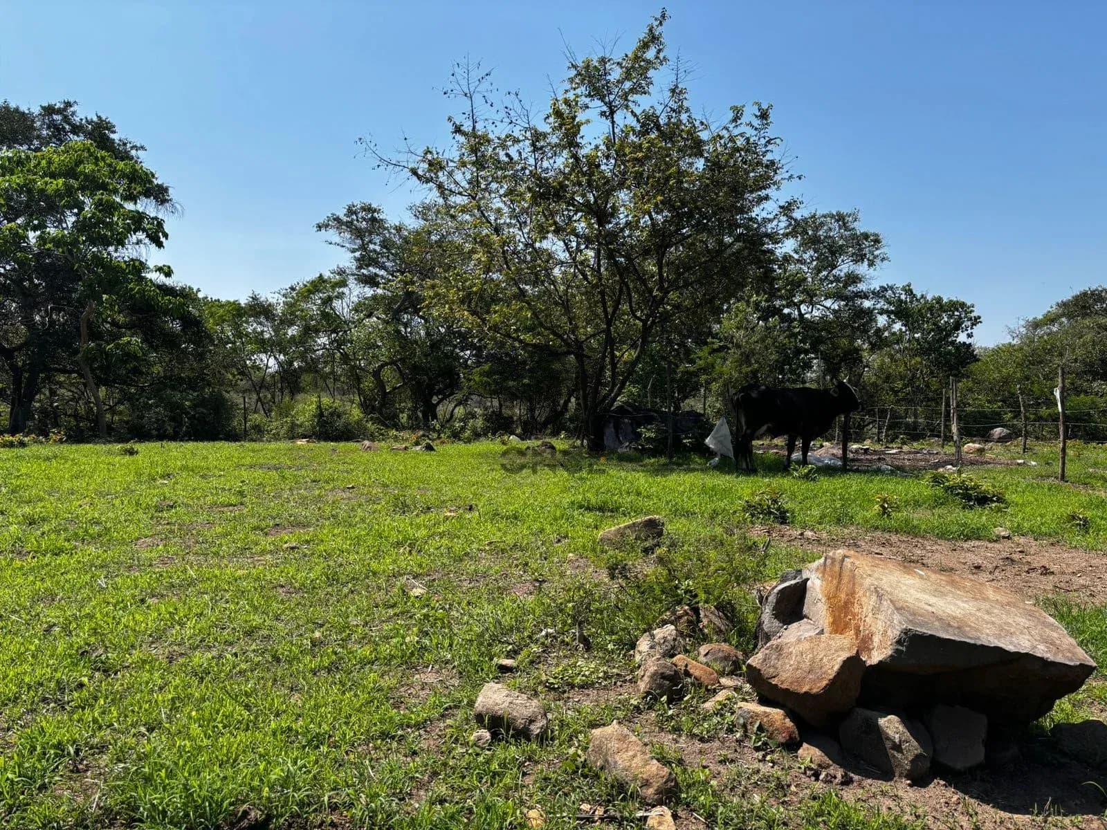 Hectáreas en venta en San Joaquín, Cuauhtémoc, Colima — foto 22 de 25