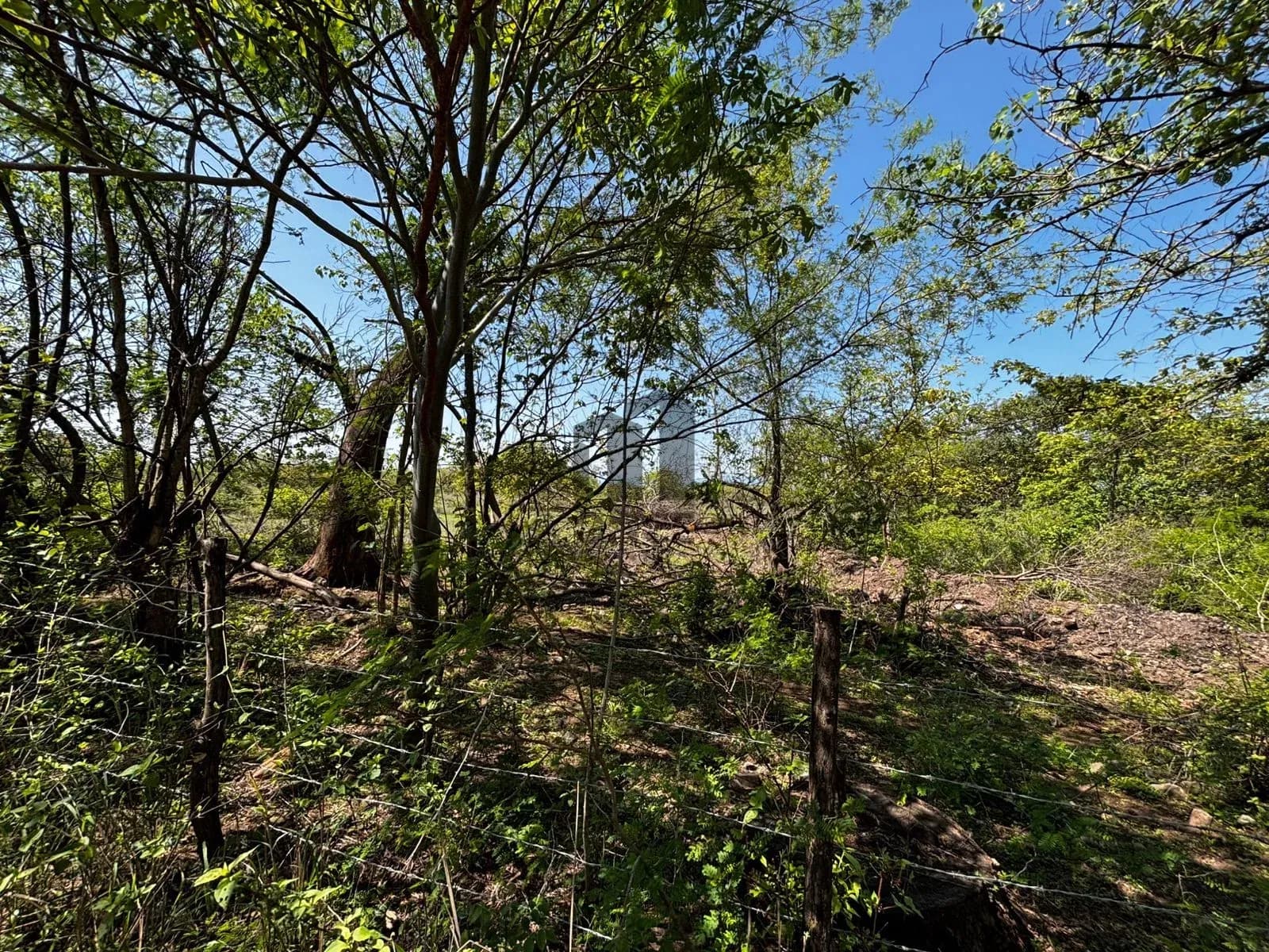 Hectáreas en venta en San Joaquín, Cuauhtémoc, Colima — foto 24 de 25