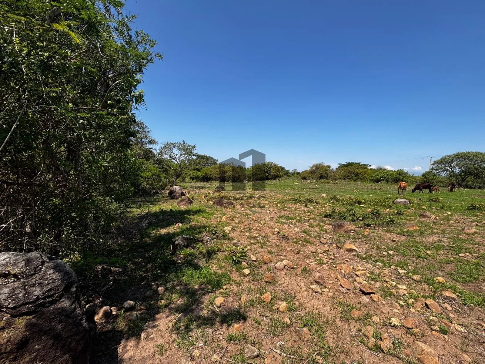 Hectáreas en venta en San Joaquín, Cuauhtémoc, Colima — foto 25 de 25