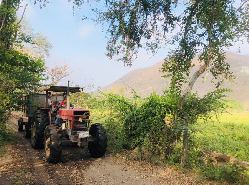 Rancho en venta en Villa de Álvarez, Colima — foto 1 de 31