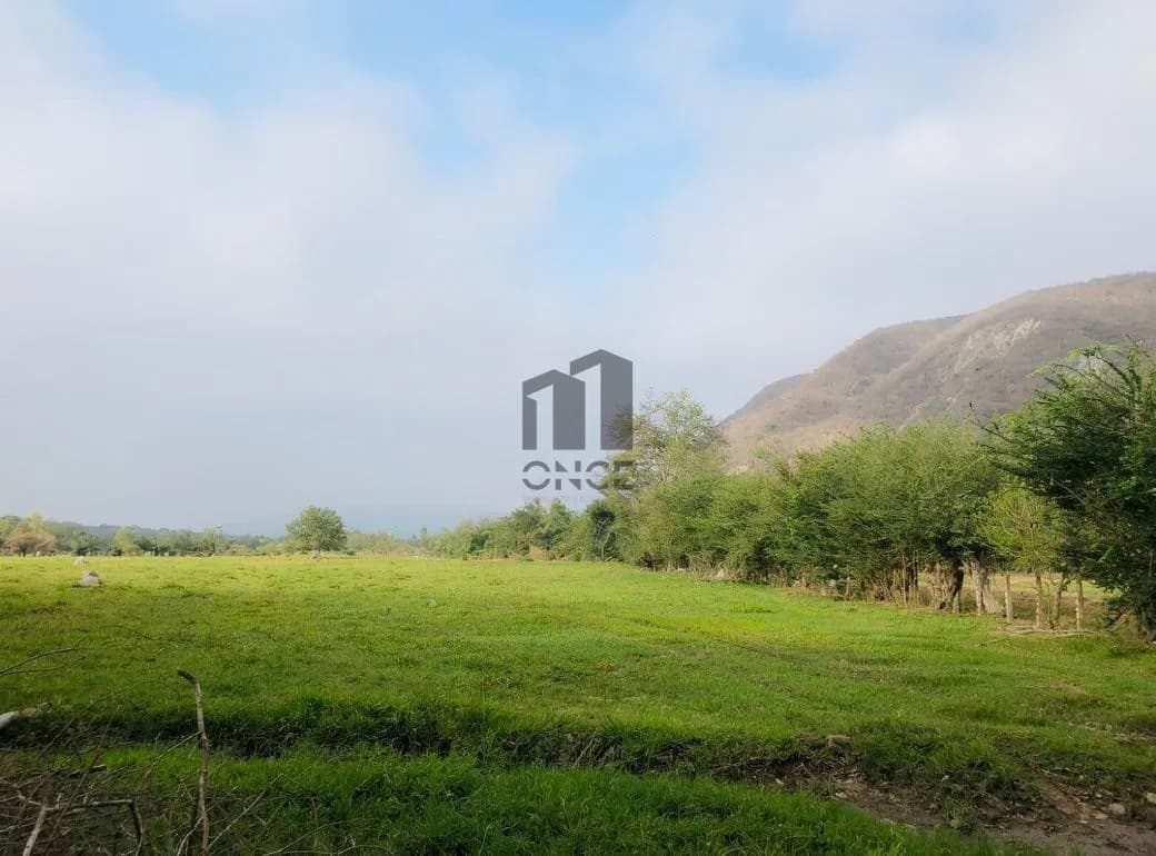 Rancho en venta en Villa de Álvarez, Colima — foto 3 de 31