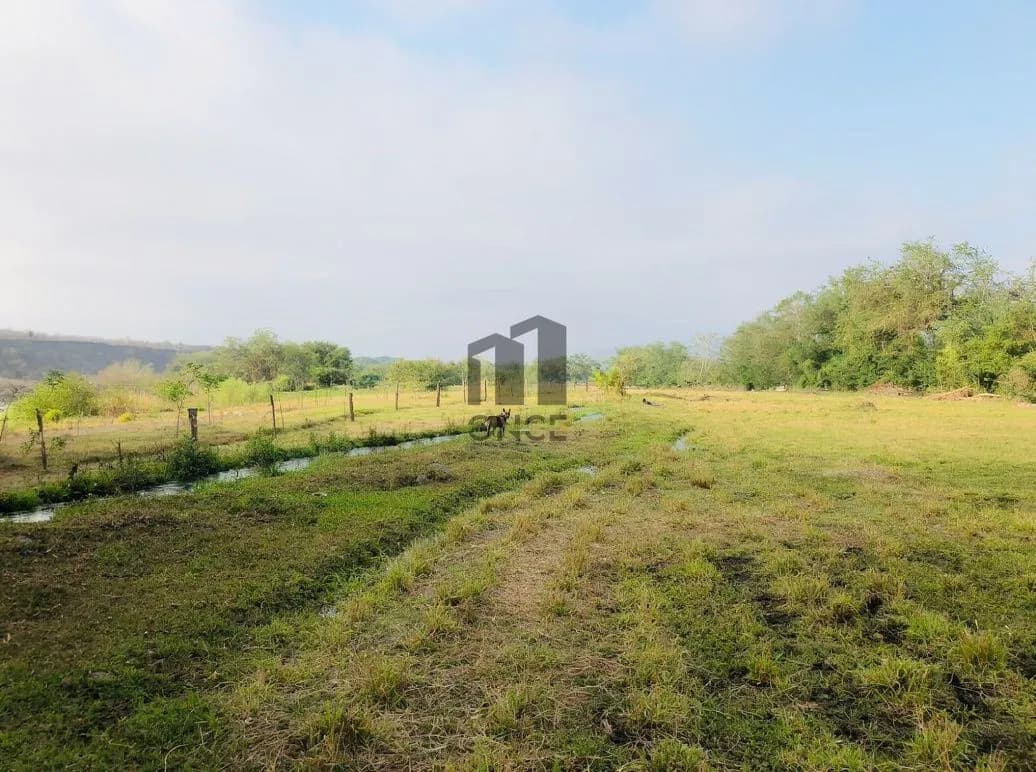 Rancho en venta en Villa de Álvarez, Colima — foto 13 de 31