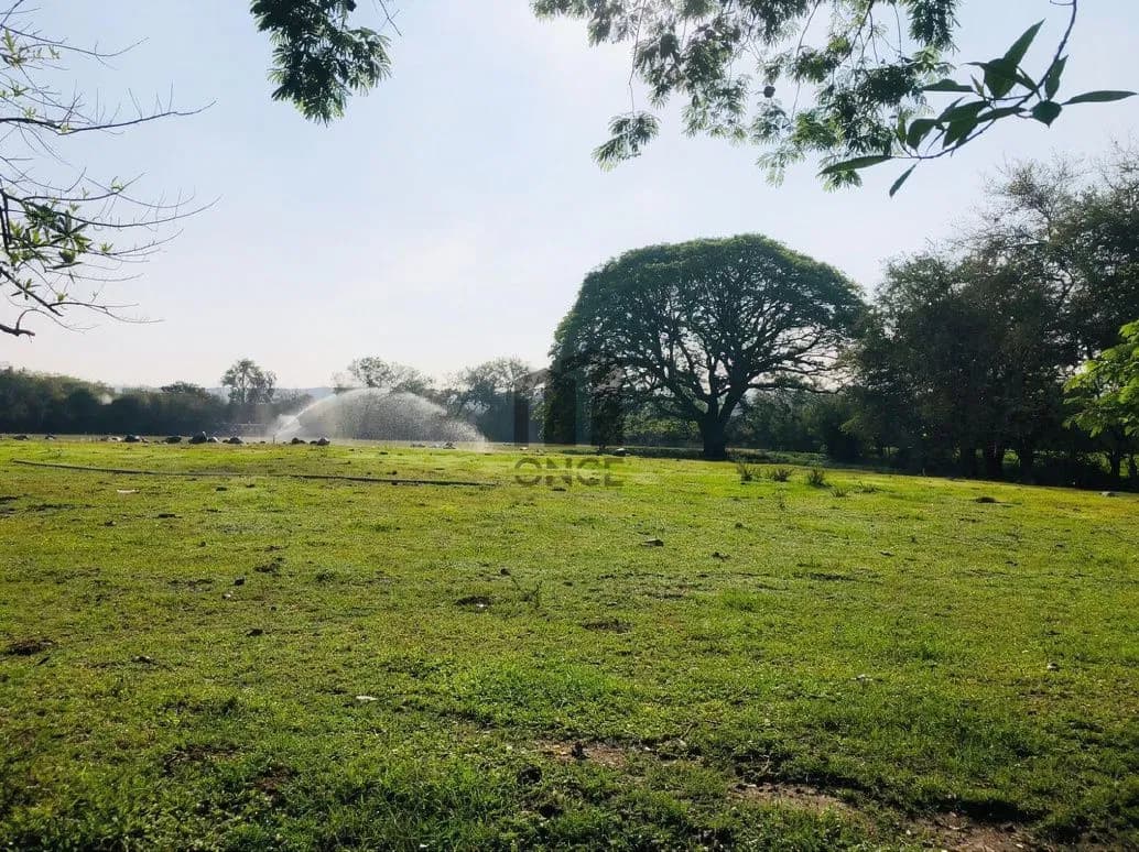 Rancho en venta en Villa de Álvarez, Colima — foto 8 de 31