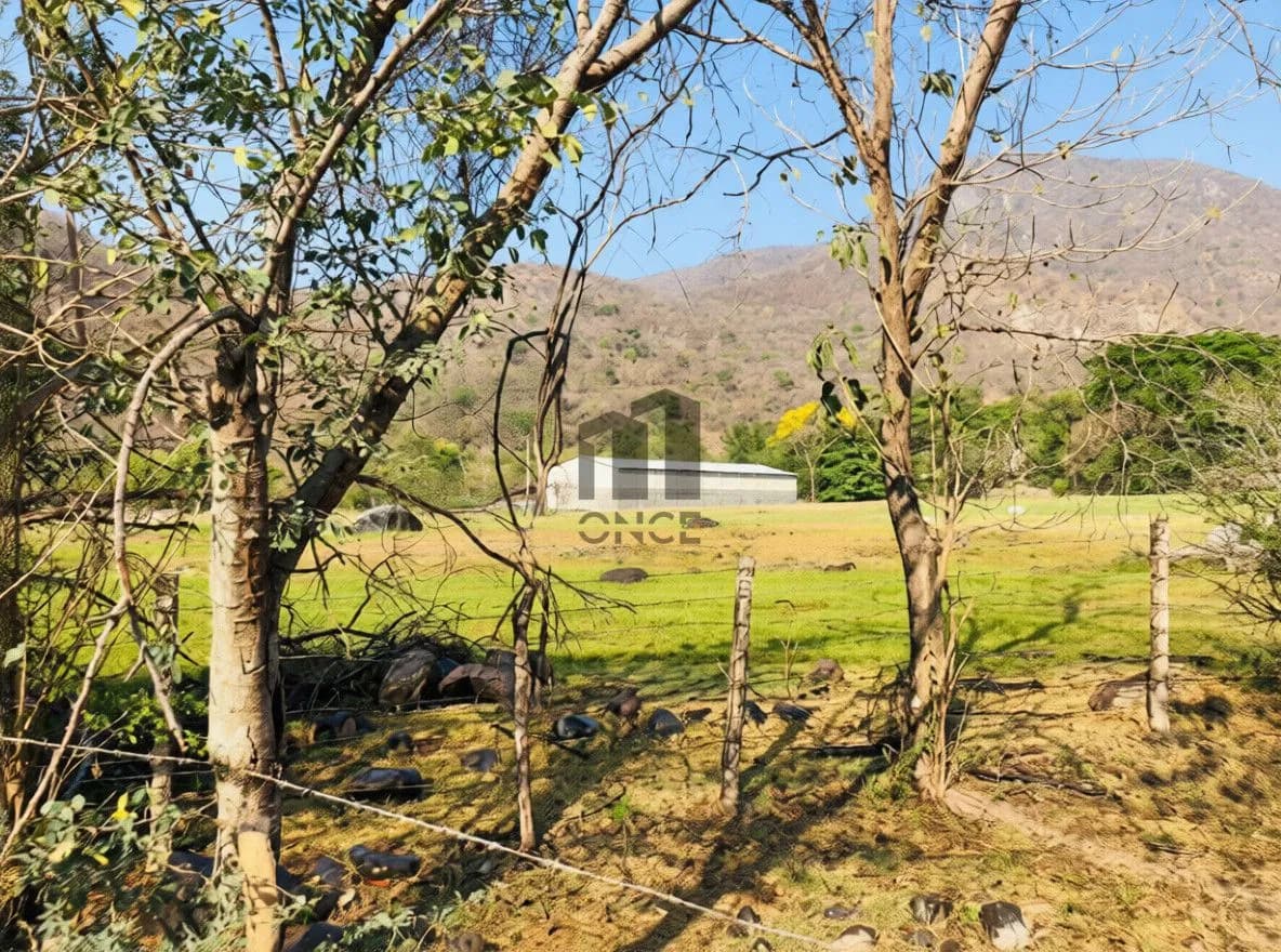 Rancho en venta en Villa de Álvarez, Colima — foto 10 de 31