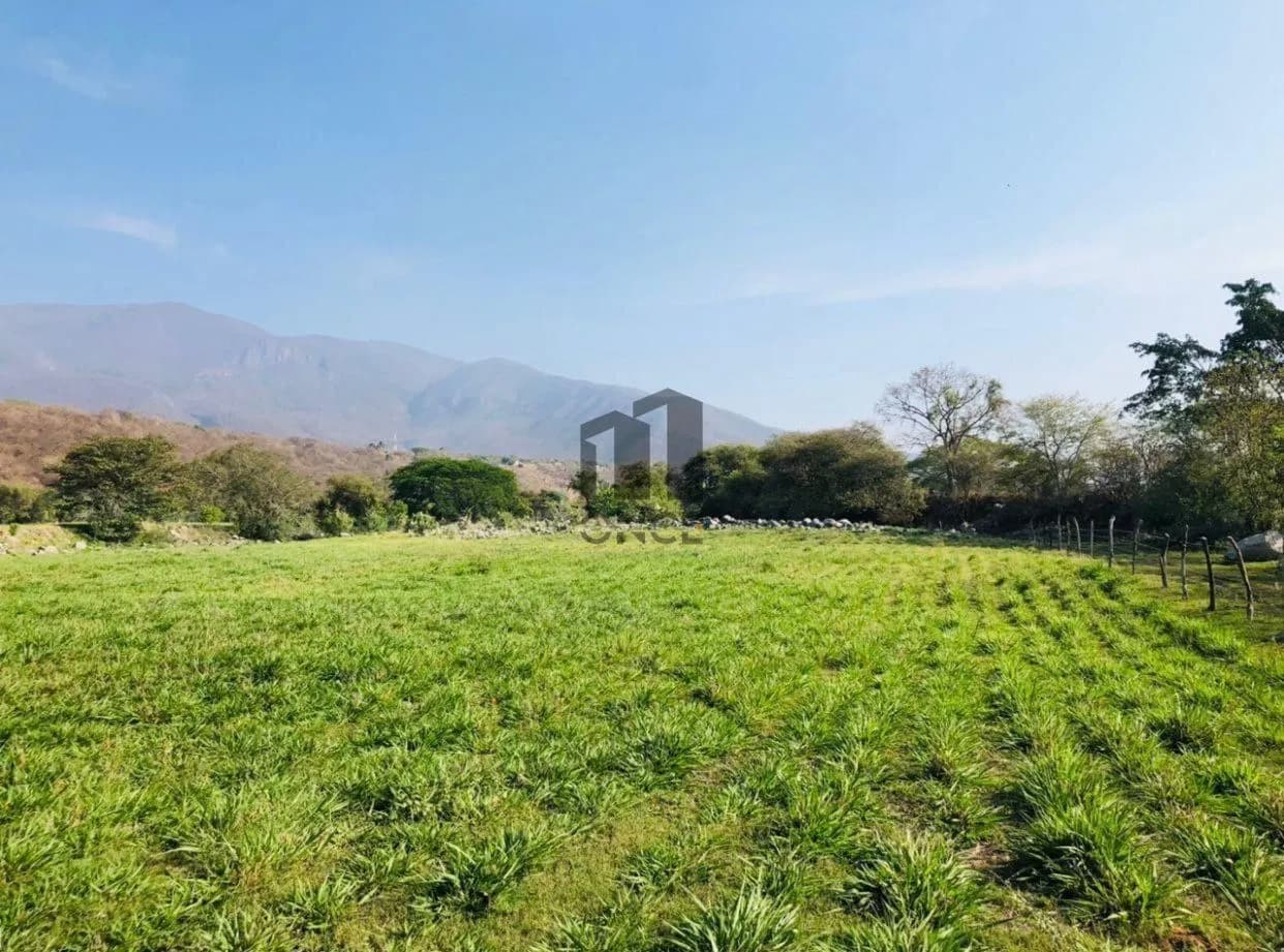 Rancho en venta en Villa de Álvarez, Colima — foto 12 de 31