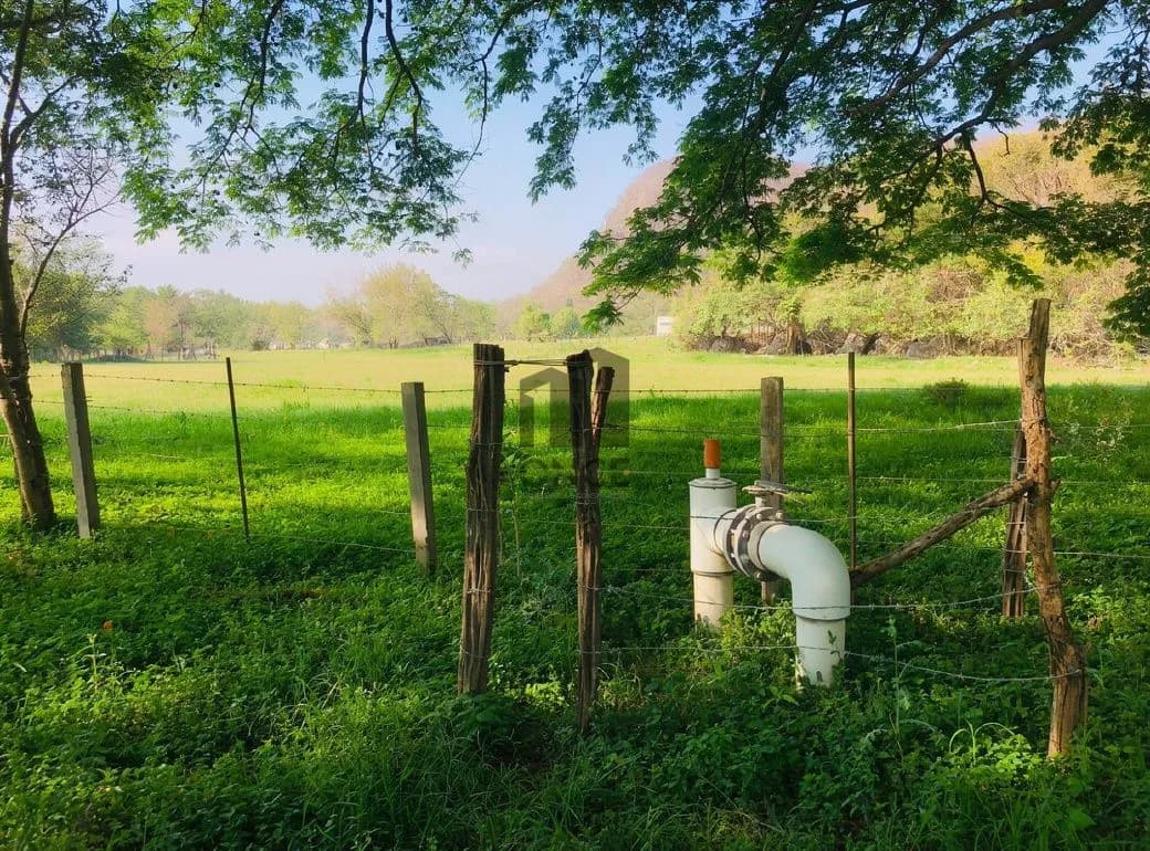 Rancho en venta en Villa de Álvarez, Colima — foto 7 de 31