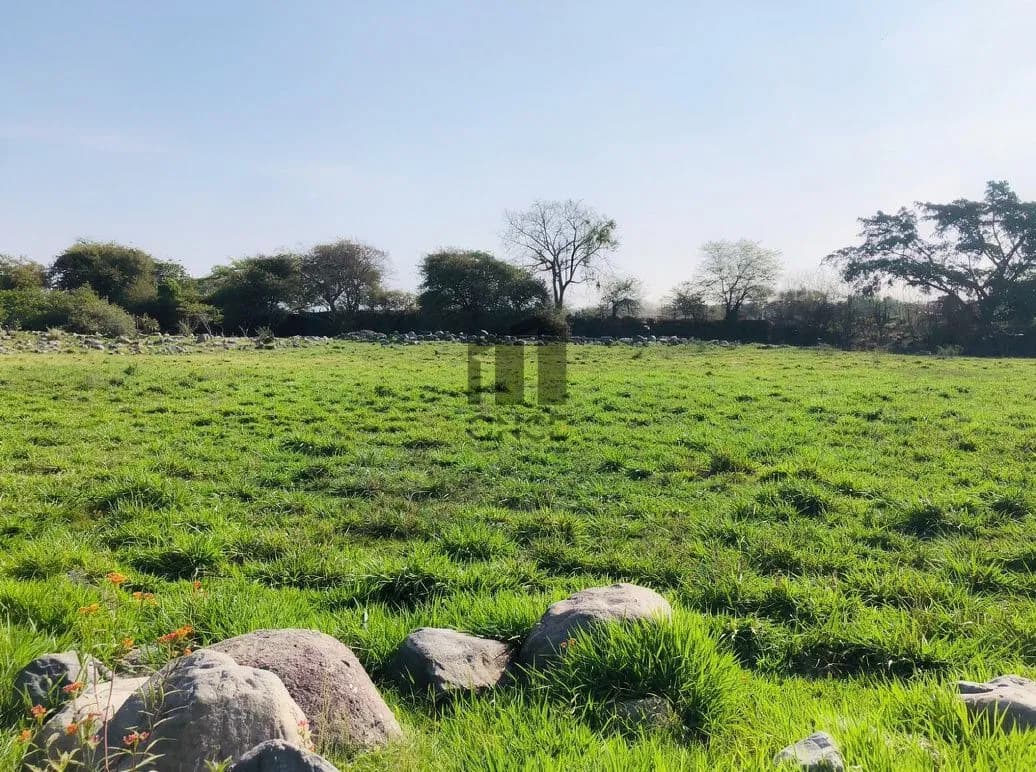 Rancho en venta en Villa de Álvarez, Colima — foto 14 de 31