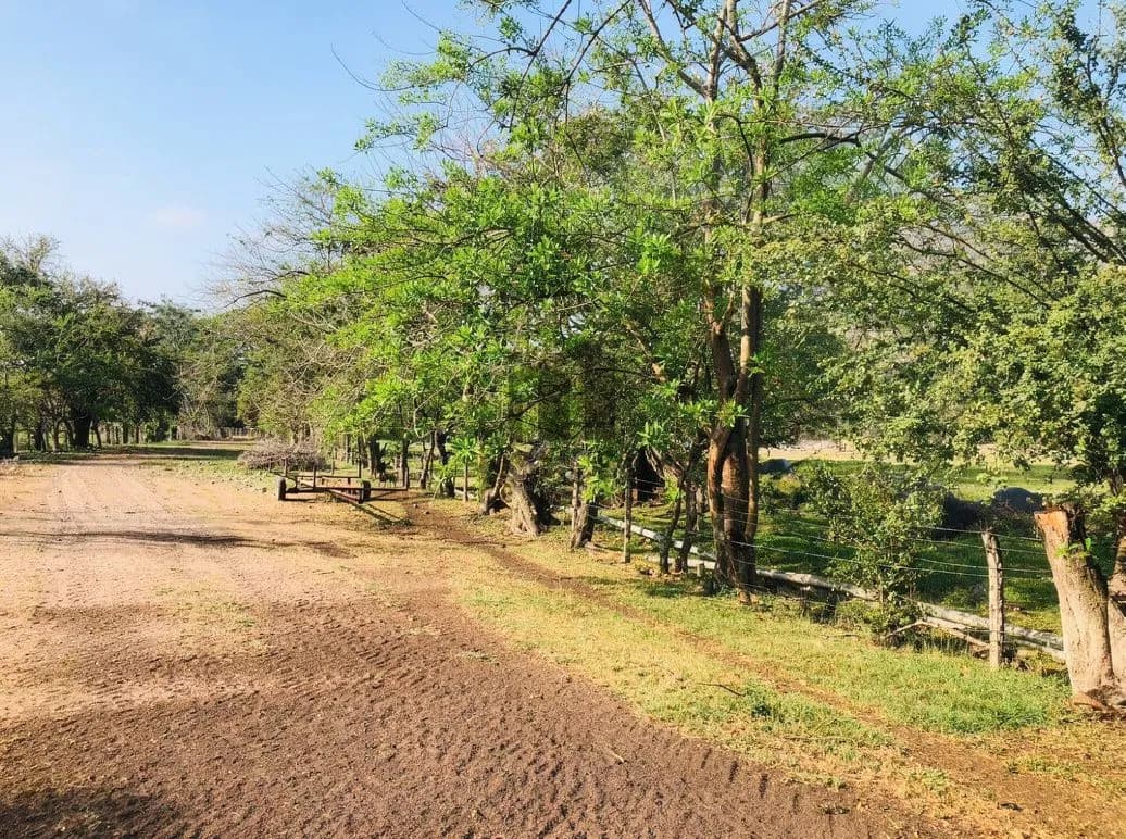 Rancho en venta en Villa de Álvarez, Colima — foto 4 de 31