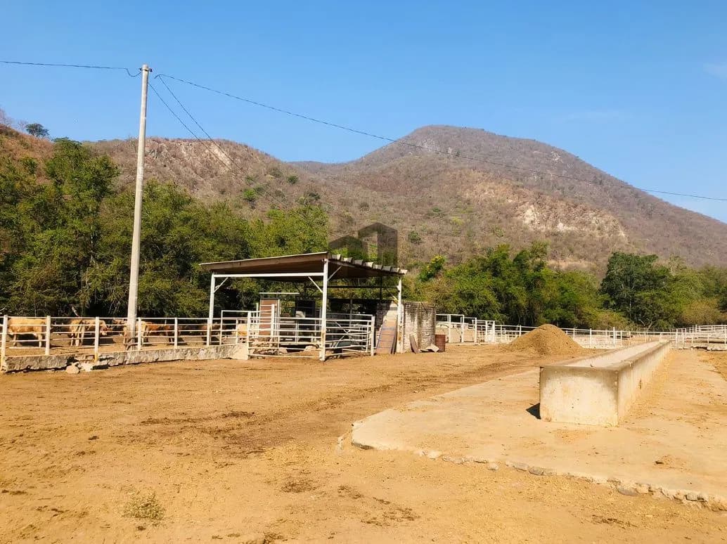 Rancho en venta en Villa de Álvarez, Colima — foto 17 de 31