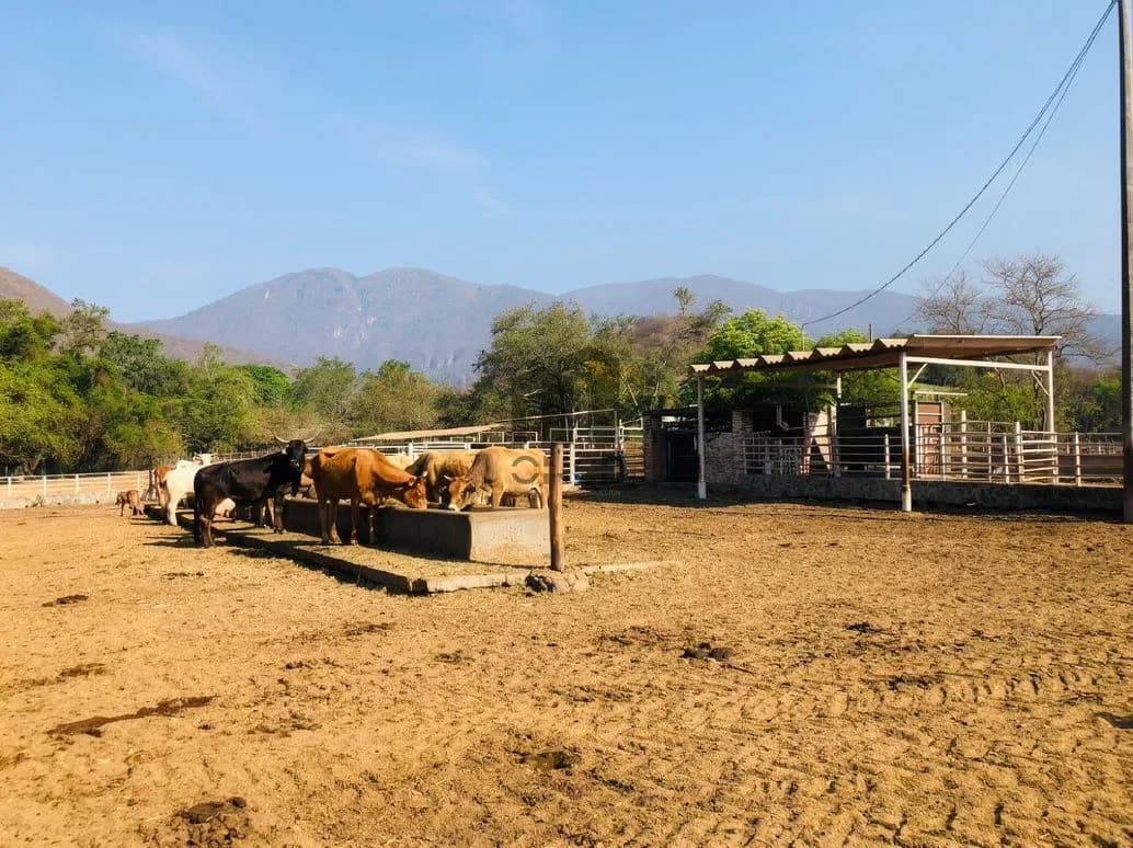 Rancho en venta en Villa de Álvarez, Colima — foto 18 de 31