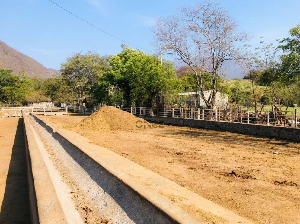 Rancho en venta en Villa de Álvarez, Colima — foto 19 de 31