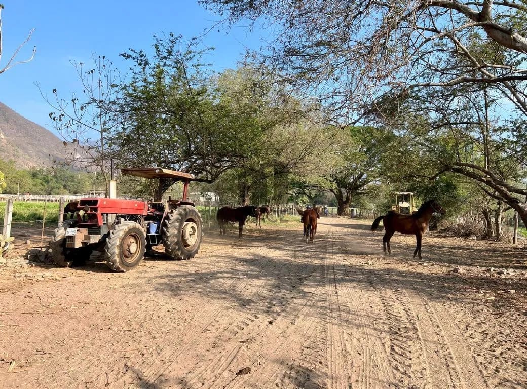 Rancho en venta en Villa de Álvarez, Colima — foto 11 de 31