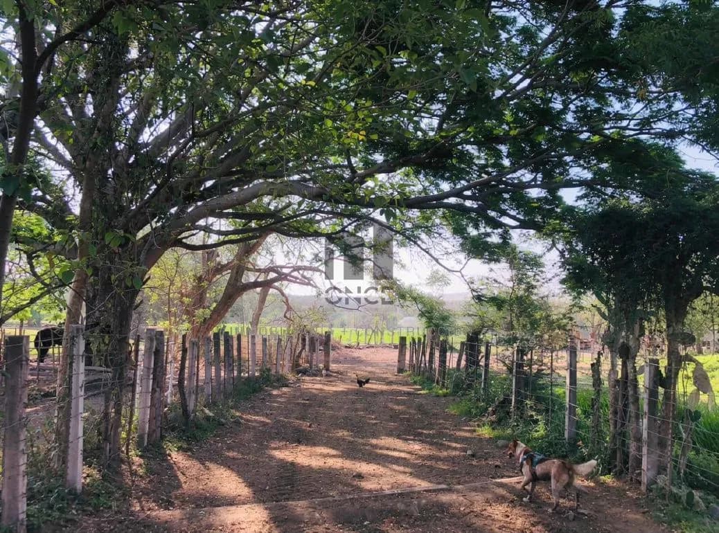 Rancho en venta en Villa de Álvarez, Colima — foto 20 de 31