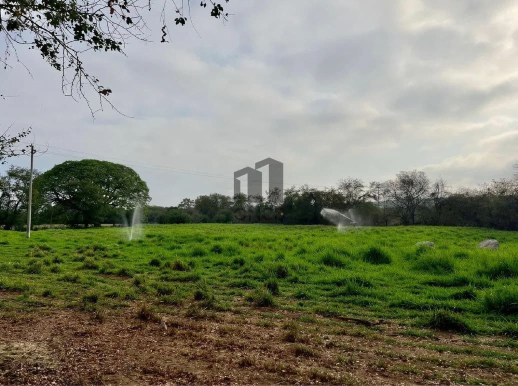 Rancho en venta en Villa de Álvarez, Colima — foto 25 de 31