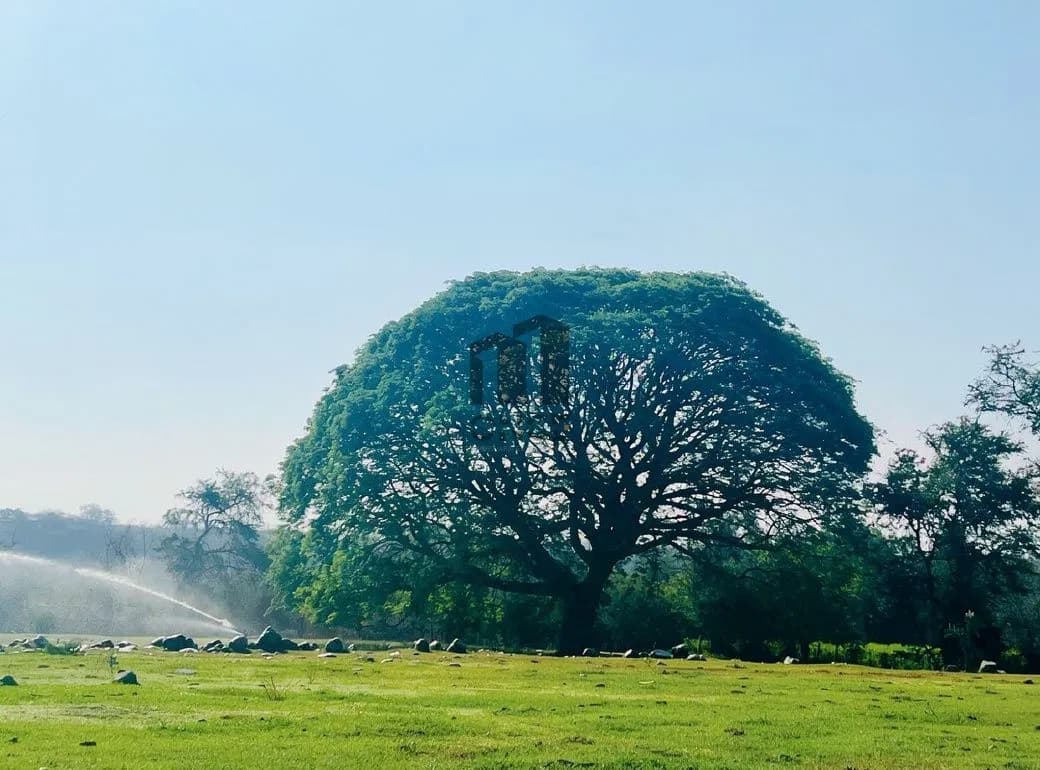 Rancho en venta en Villa de Álvarez, Colima — foto 30 de 31