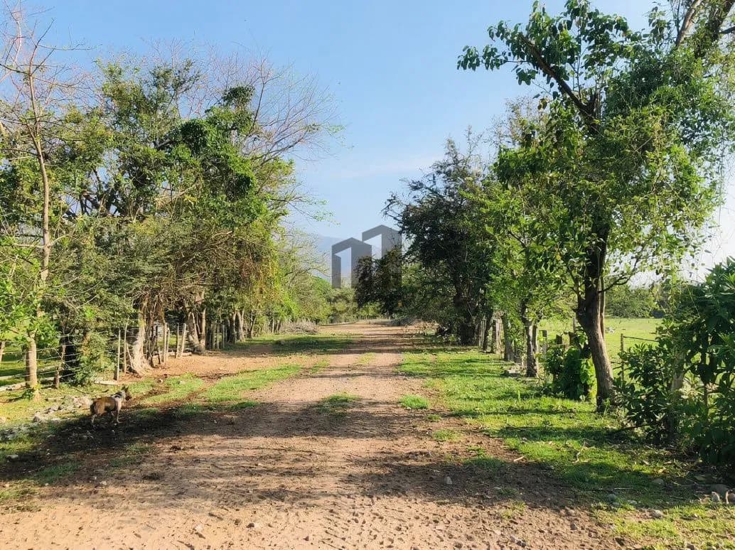 Rancho en venta en Villa de Álvarez, Colima — foto 24 de 31